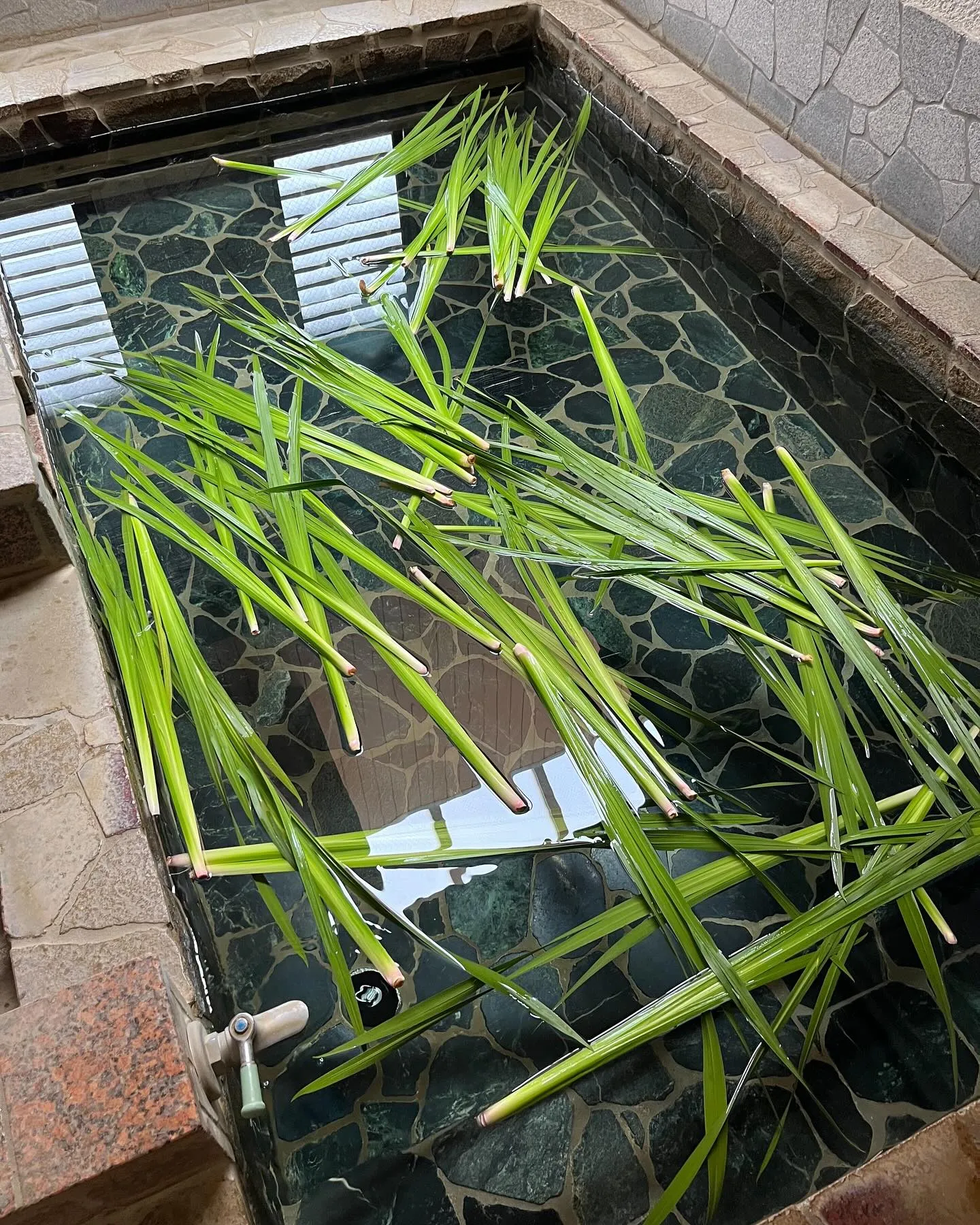 おはようございます☀