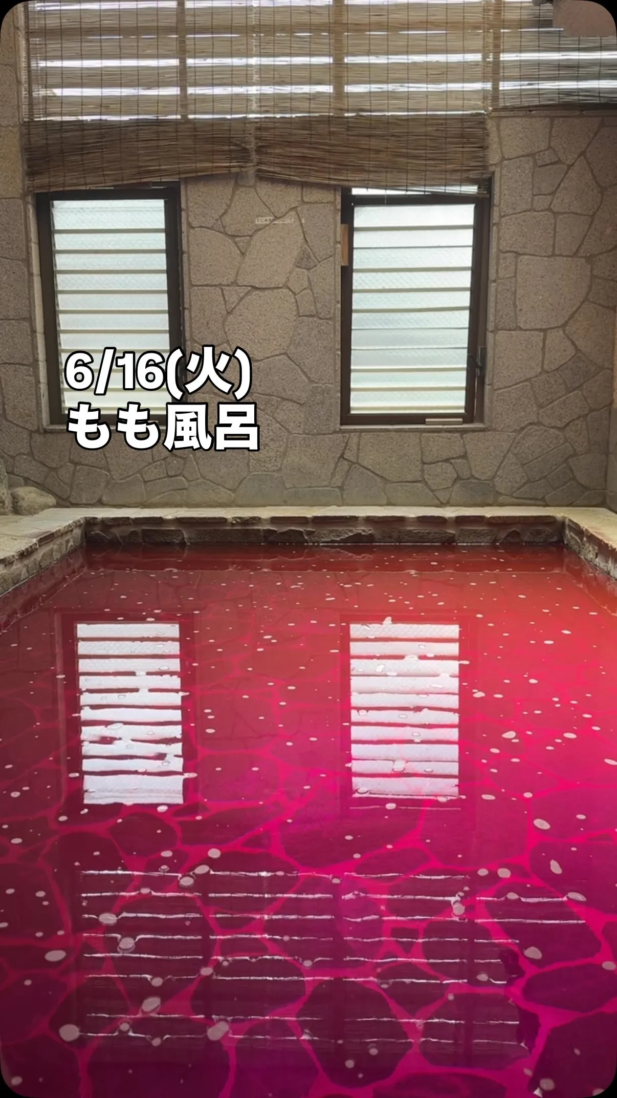 こんにちは！